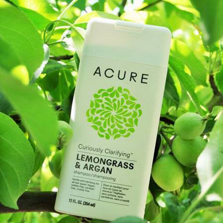 Acure, Curiously Clarifying Shampoo, Lemongrass & Argan, 12 fl oz (354 ml) Review