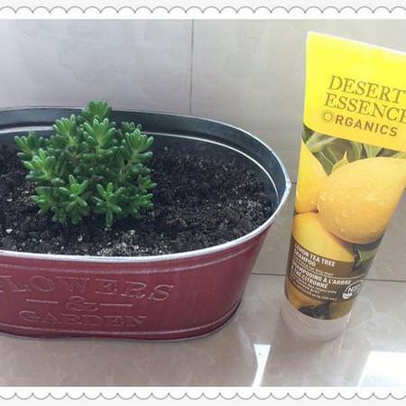 Desert Essence, Organics, Shampoo, Lemon Tea Tree, 8 fl oz (237 ml) Review