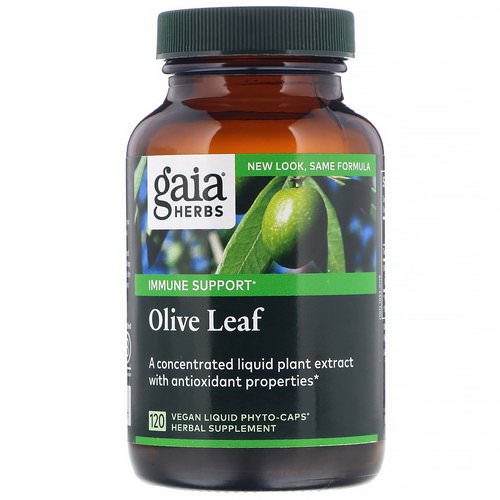 Gaia Herbs, Olive Leaf, 120 Vegan Liquid Phyto-Caps Review