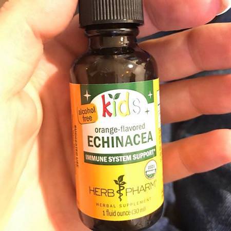 Kids Echinacea, Alcohol Free, Orange-Flavored