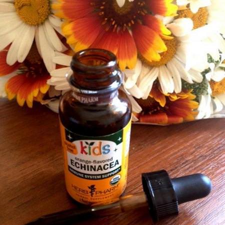 Herb Pharm, Kids Echinacea, Alcohol Free, Orange-Flavored, 4 fl oz (120 ml) Review
