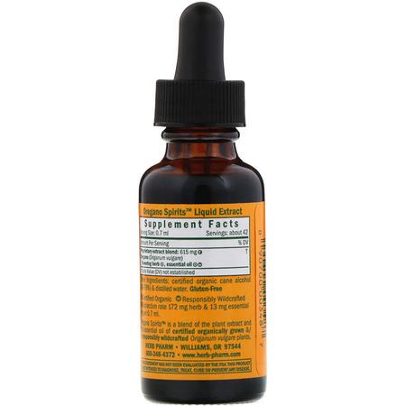 Oregano Oil Supplements, Herbal Formulas, Homeopathy, Herbs
