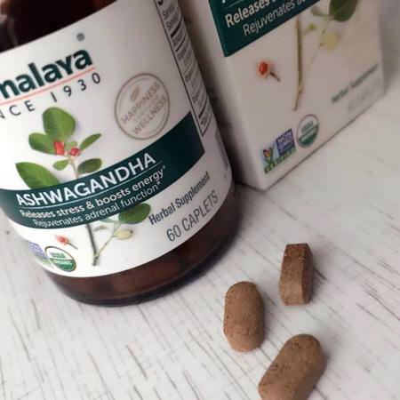 Herbs Homeopathy Adaptogens Ashwagandha Himalaya