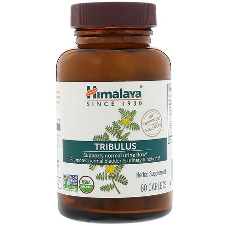 Himalaya, Tribulus