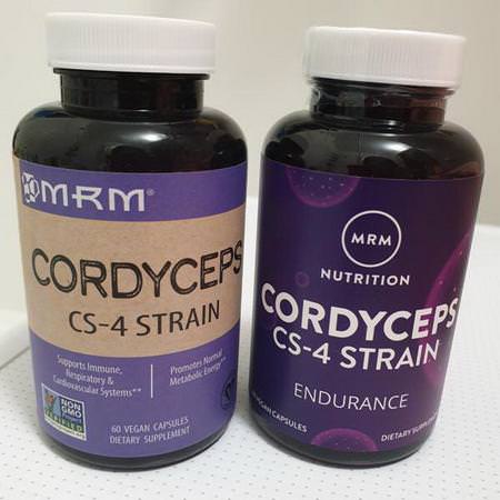 Cordyceps CS-4 Strain