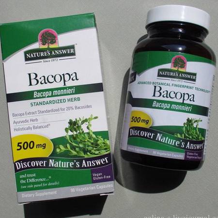Herbs Homeopathy Adaptogens Bacopa Nature's Answer