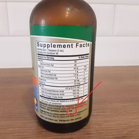 Liquid Omega-3, Deep Sea Fish Oil EPA/DHA, Natural Orange Flavor