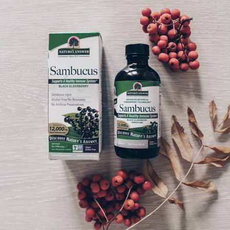 Herbs Homeopathy Elderberry Sambucus Supplements Nature's Answer