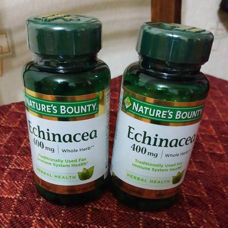 Herbs Homeopathy Echinacea Supplements Nature's Bounty