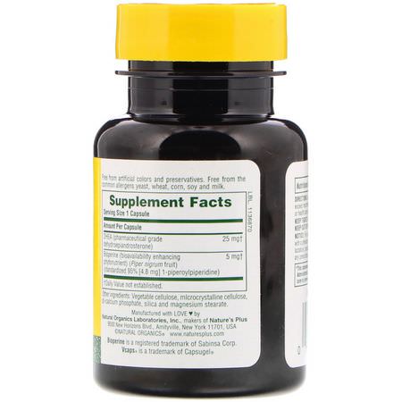 Condition Specific Formulas, DHEA, Healthy Lifestyles, Supplements