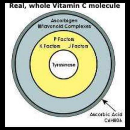 Nature's Way Supplements Vitamins Vitamin C