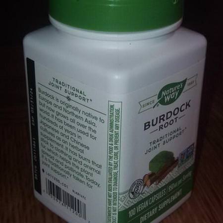 Nature's Way Herbs Homeopathy Burdock Root