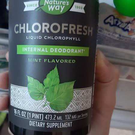 Nature's Way, Chlorofresh, Liquid Chlorophyll, Mint Flavored, 16 fl oz (473.2 ml) Review