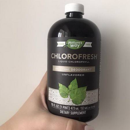 Supplements Greens Superfoods Chlorophyll Nature's Way