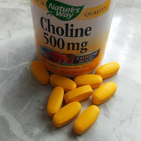 Nature's Way, Choline, 500 mg, 100 Tablets Review