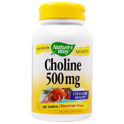 Nature's Way, Choline, 500 mg, 100 Tablets Review