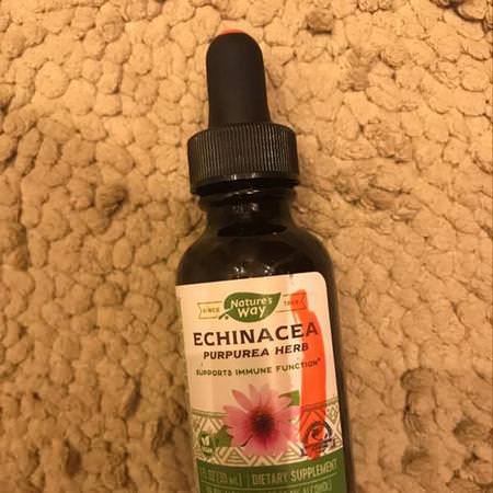 Nature's Way Herbs Homeopathy Echinacea