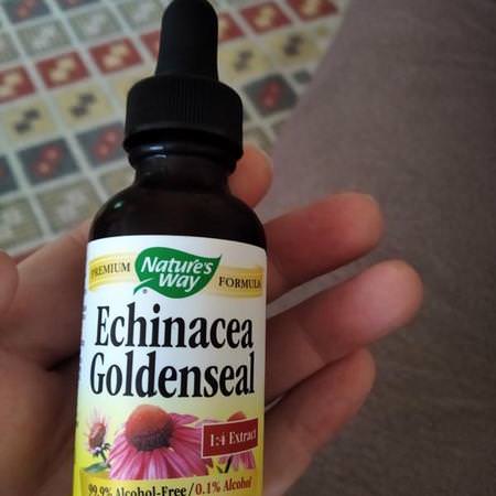 Echinacea Goldenseal, Alcohol Free 99.9%