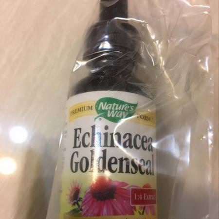 Nature's Way Herbs Homeopathy Echinacea