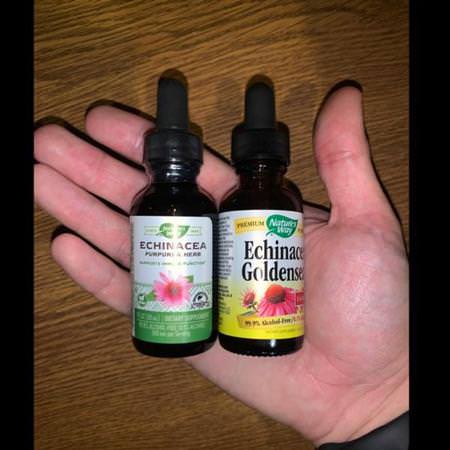 Herbs Homeopathy Echinacea Goldenseal Nature's Way