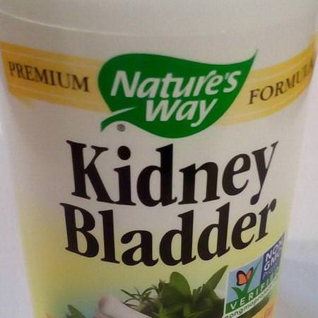 Kidney Bladder