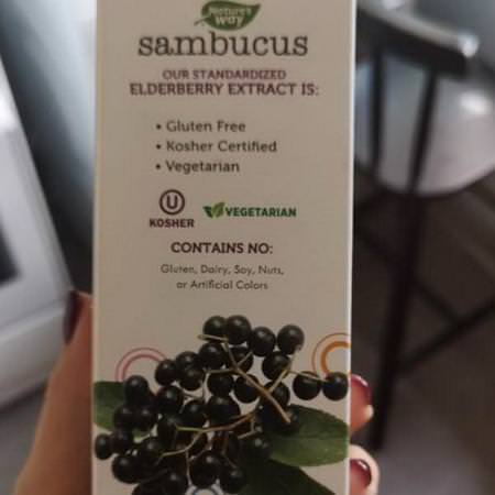 Sambucus For Kids, Standardized Elderberry, Original Syrup