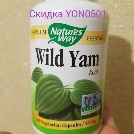 Wild Yam Root