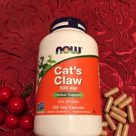 Now Foods, Cat's Claw, 500 mg, 100 Veg Capsules Review