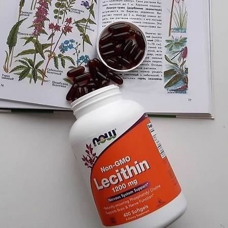 Non-GMO Lecithin