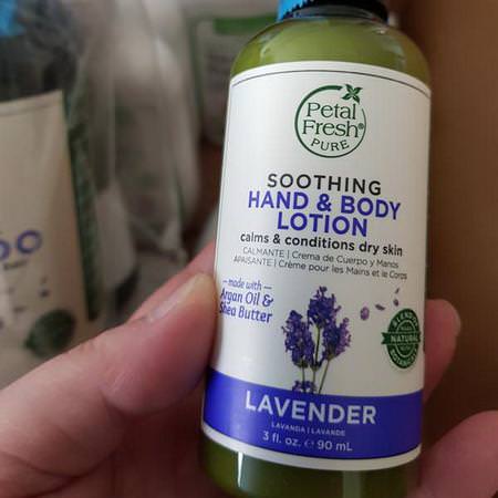 Pure, Soothing Hand & Body Lotion, Lavender