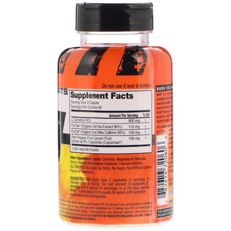 Appetite Suppressant, Fat Burners, Weight, Diet, Supplements