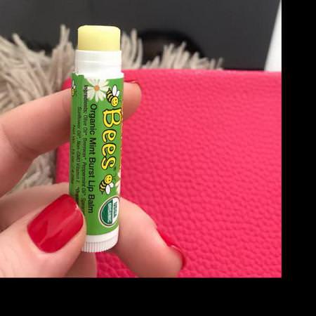 Sierra Bees, Organic Lip Balms, Mint Burst, 4 Pack, .15 oz (4.25 g) Each Review