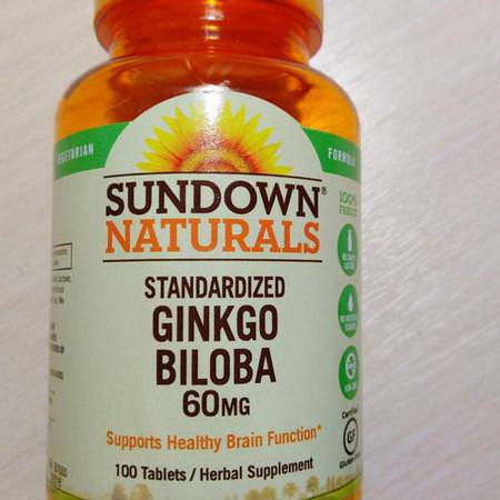 Sundown Naturals, Ginkgo Biloba