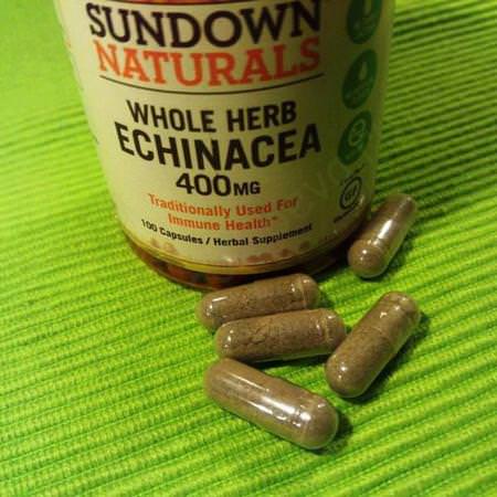 Sundown Naturals, Whole Herb Echinacea, 400 mg, 100 Capsules Review