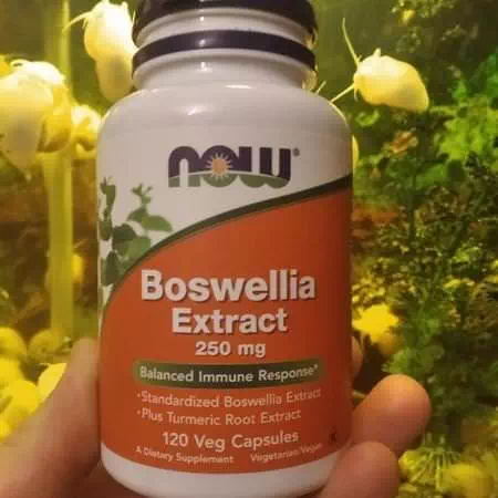 Now Foods Herbs Homeopathy Boswellia